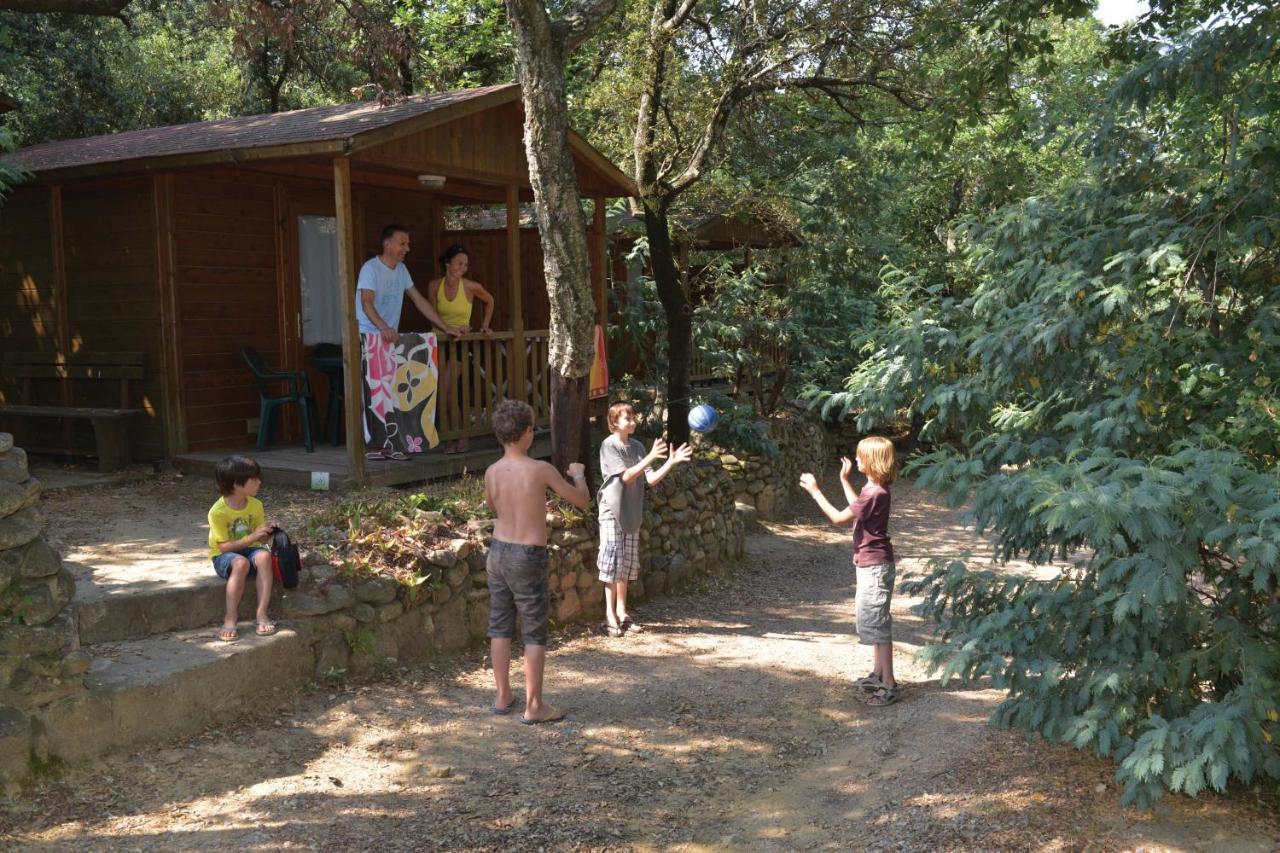 Camping Des Alberes Laroque-des-Albères Eksteriør bilde