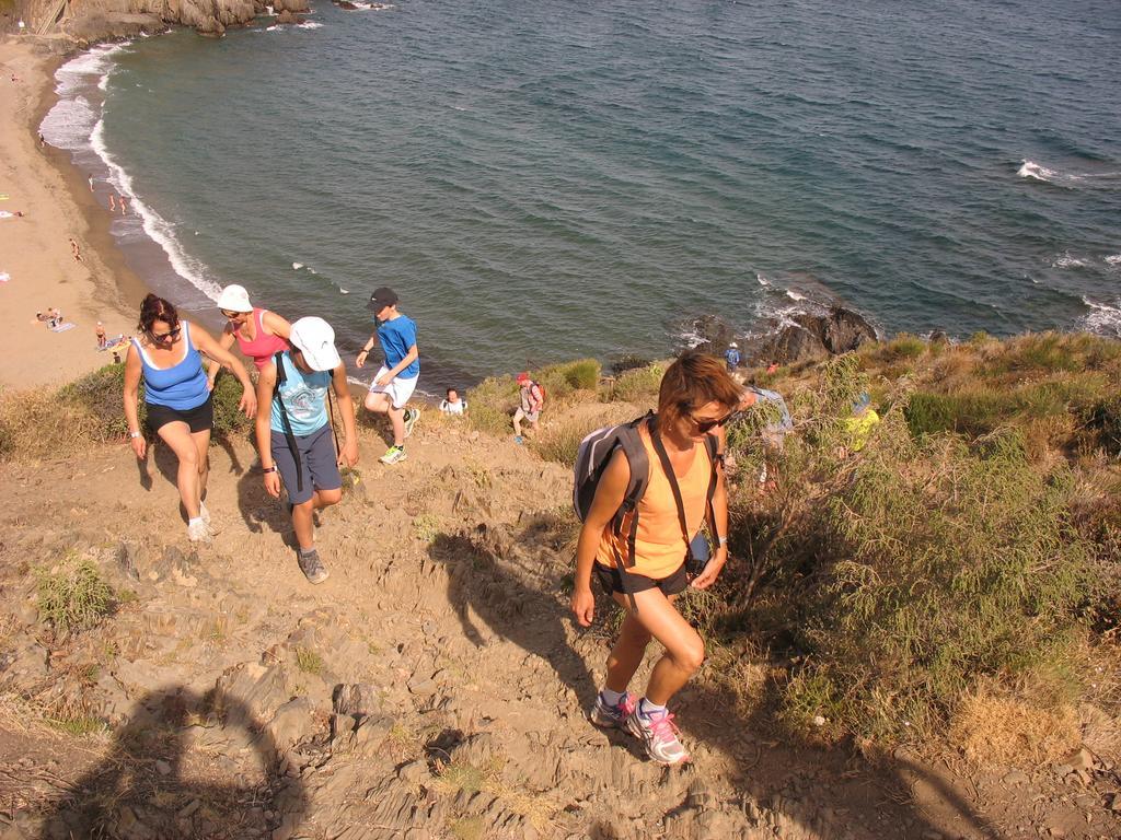 Camping Des Alberes Laroque-des-Albères Eksteriør bilde