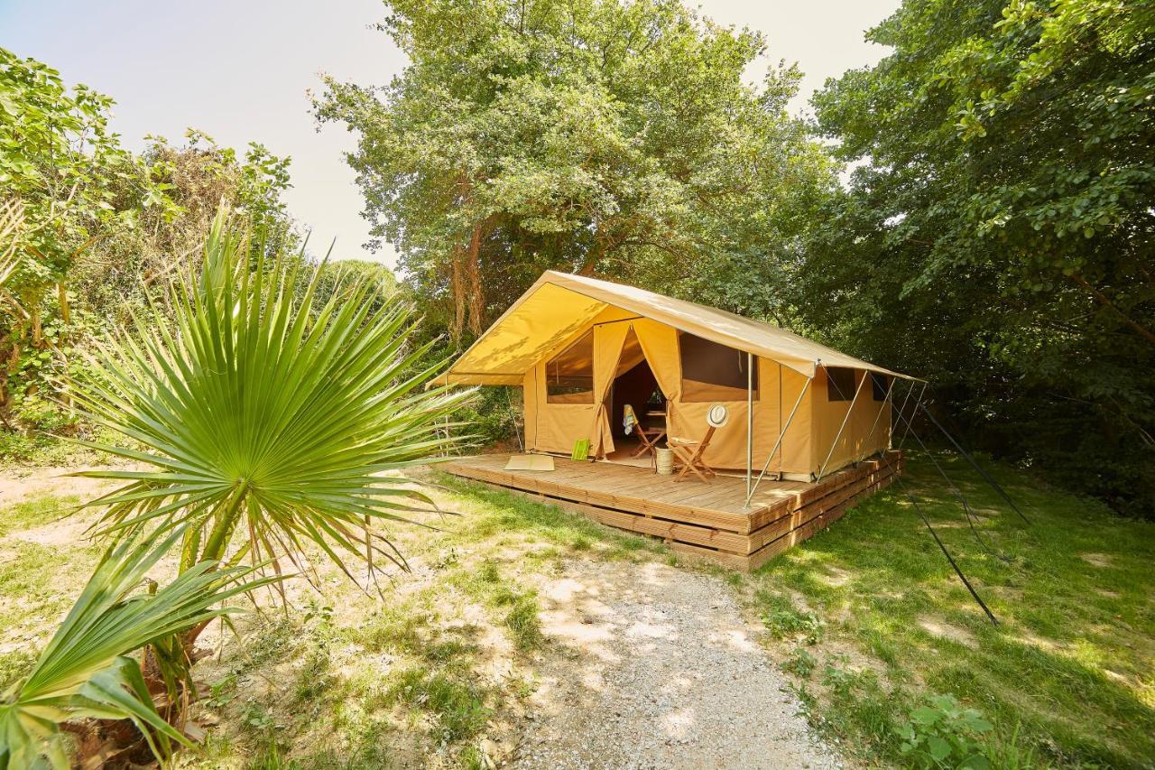 Camping Des Alberes Laroque-des-Albères Eksteriør bilde