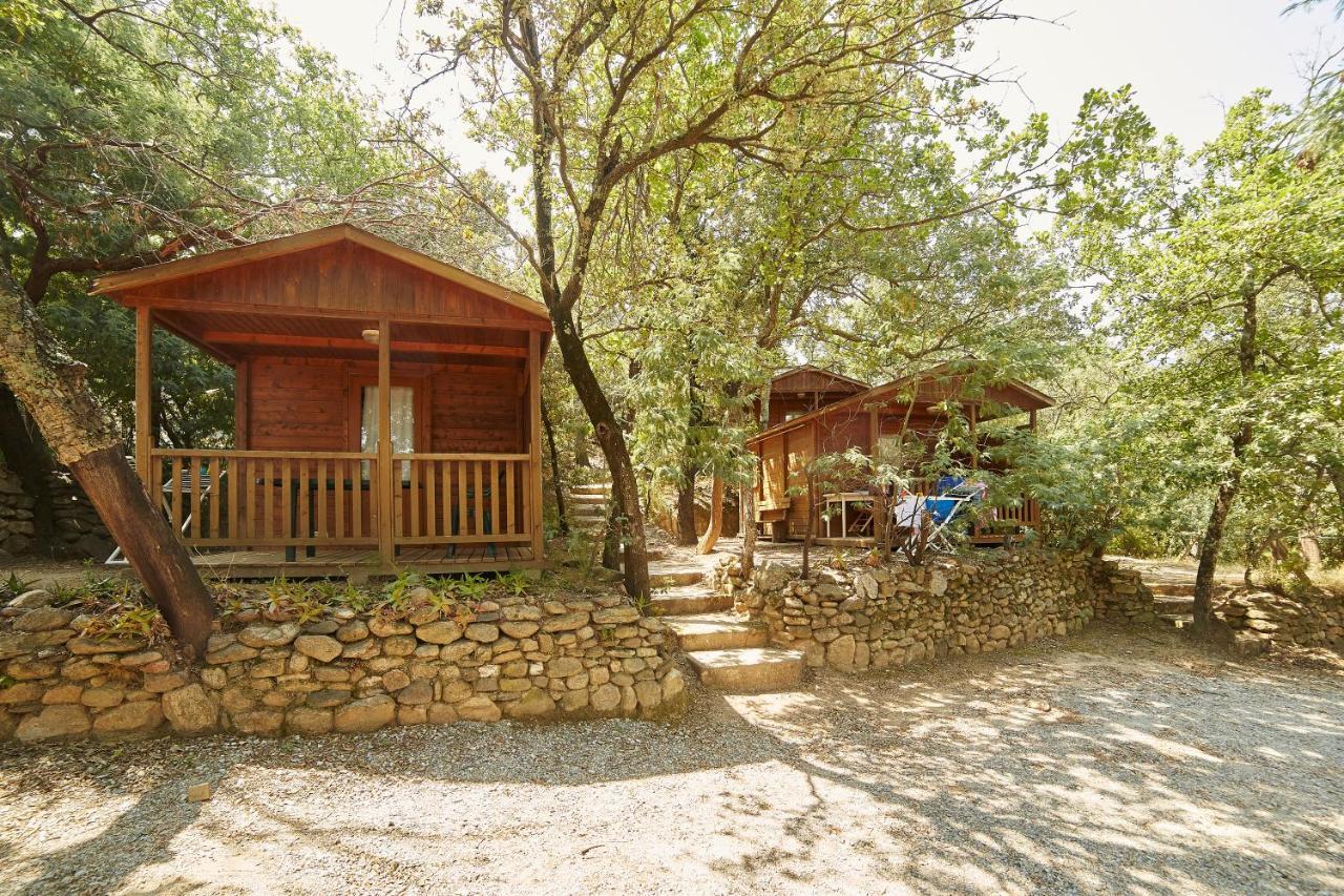 Camping Des Alberes Laroque-des-Albères Eksteriør bilde